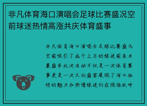 非凡体育海口演唱会足球比赛盛况空前球迷热情高涨共庆体育盛事